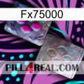 Fx75000 38